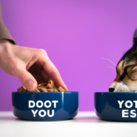 Instead of people putting food in bowls for their pets, pets putting food in bowls for their people