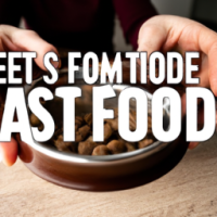 Instead of people putting food in bowls for their pets, pets putting food in bowls for their people