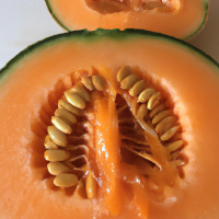 fresh cut cantaloupe 