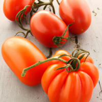 fresh roma tomatoes