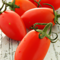 fresh roma tomatoes