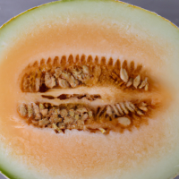 fresh cut cantaloupe in half in full view shown from short distance