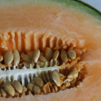 fresh cut cantaloupe in half in full view shown from short distance