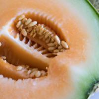 fresh cut cantaloupe in half in full view shown from short distance