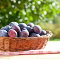 fresh plums in basket on table outside