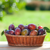fresh plums in basket on table outside