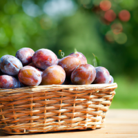 fresh plums in basket on table outside