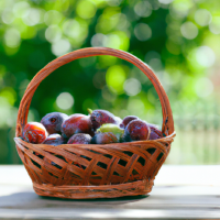 fresh plums in basket on table outside