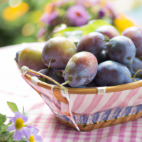 fresh plums in basket on table outside
