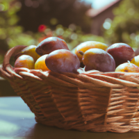 fresh plums in basket on table outside